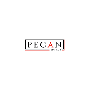 Logo Design by PakArtDes