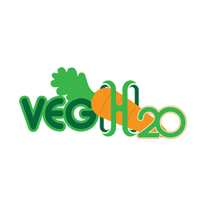 Logo Design by Faysal Mahmud 2