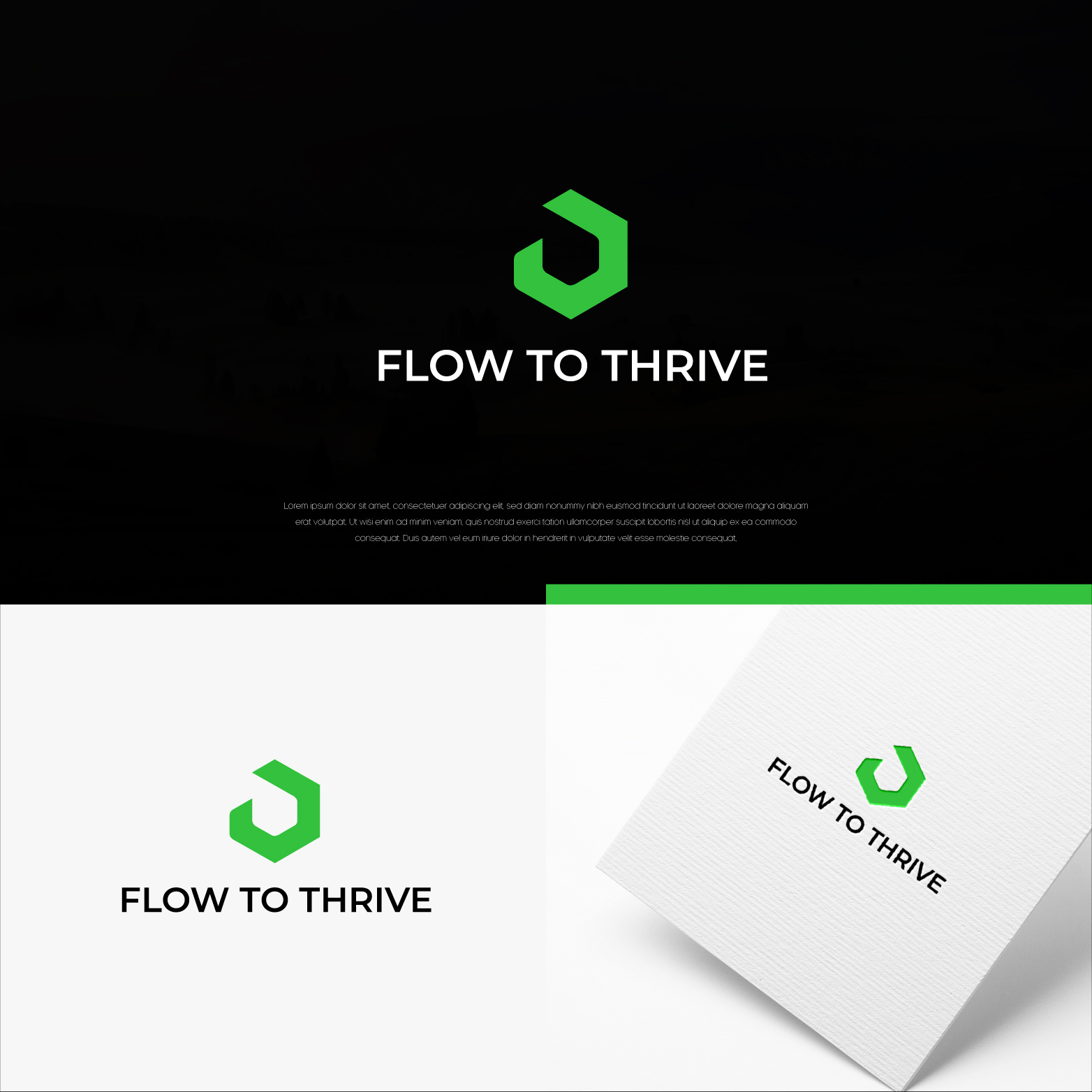 Logo Design by Shigh5 for this project | Design #30855972