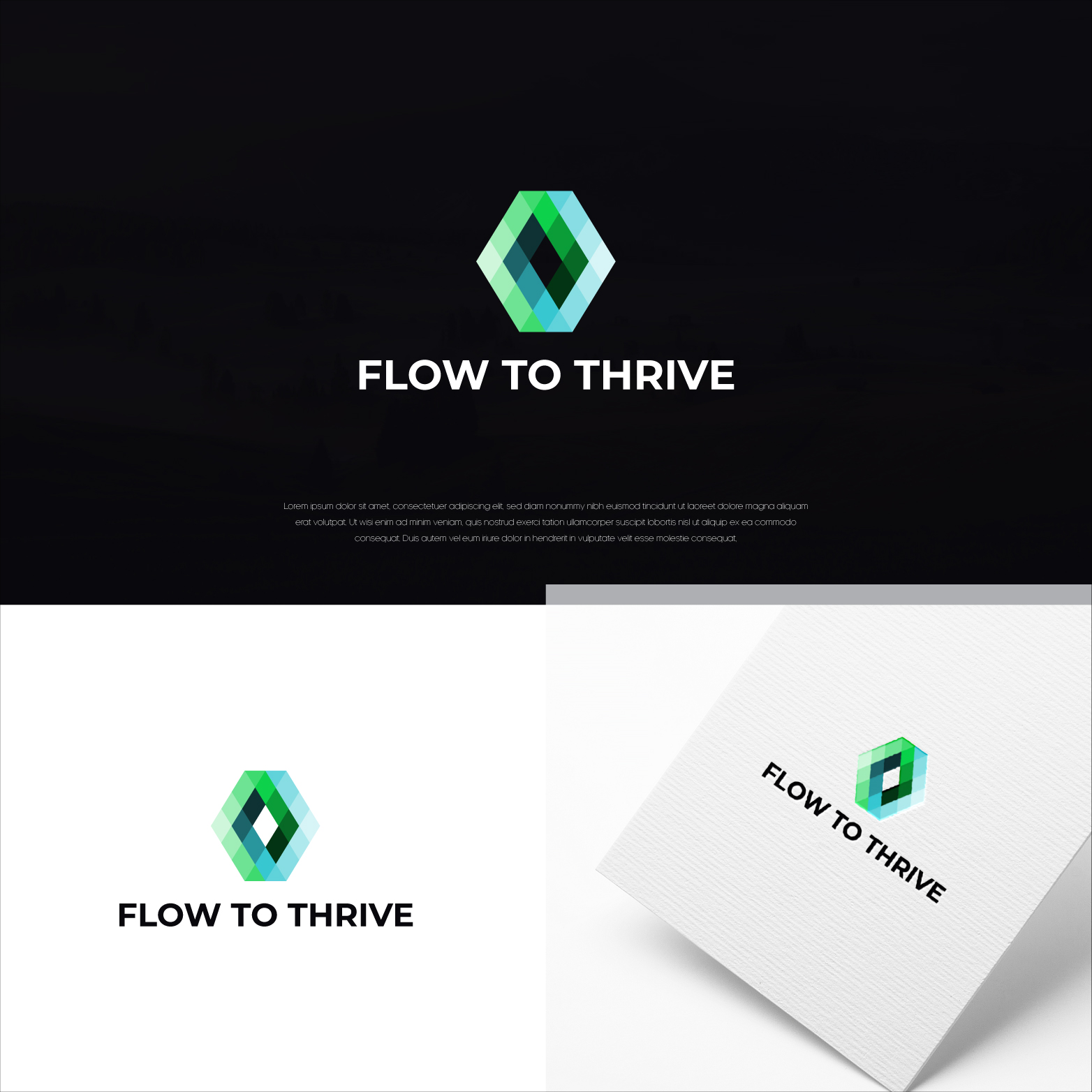 Logo Design by Shigh5 for this project | Design #30857087