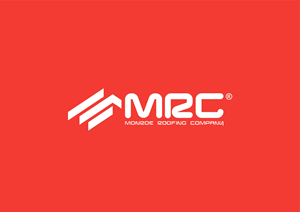 Logo Design by artylinestudios