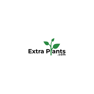 Logo Design by Designer Nayem for this project | Design: #30837545
