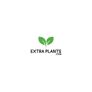 Logo Design by Designer Nayem for this project | Design: #30837892