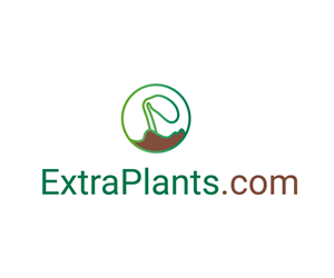 Logo Design by METHODEMAN