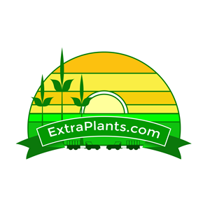 Logo Design by Rudistudio
