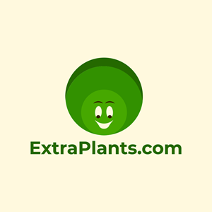 Logo Design by tamaraka