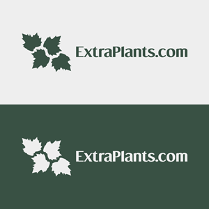 Diseño de Logo por tamaraka para este proyecto | Diseño: #30843883