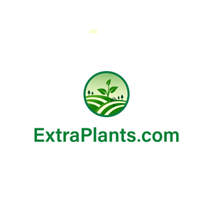 Logo Design by Almin Art