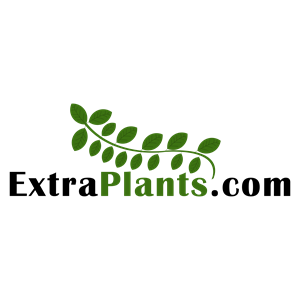 Logo Design by Andi Pro