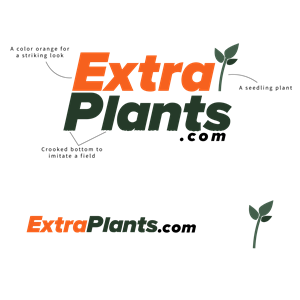 Logo Design by DriftUp