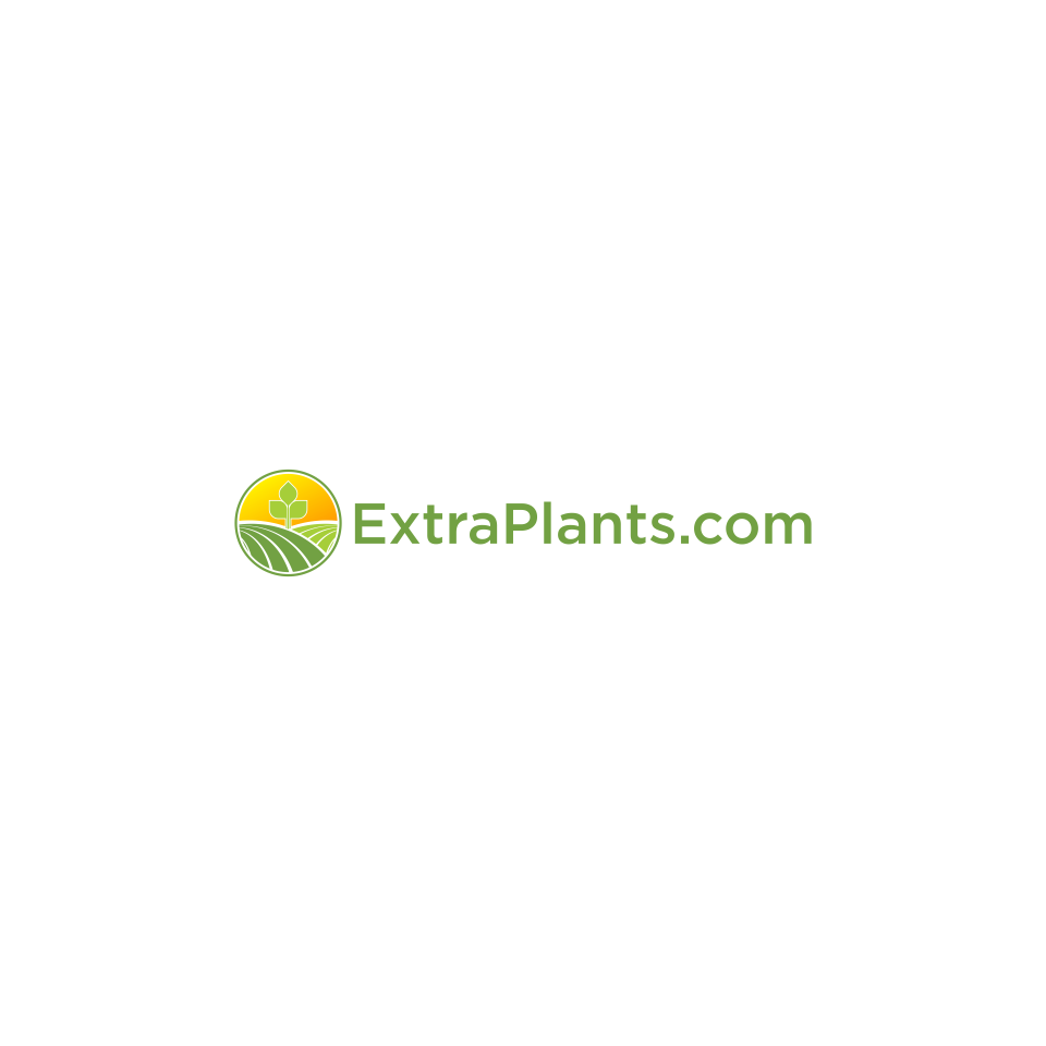 Logo Design by MK_STD for this project | Design #30845684