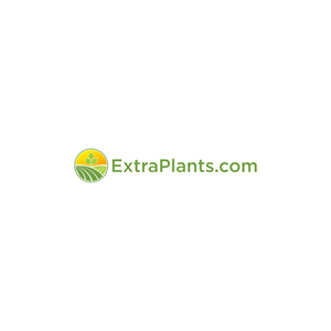 Logo Design by MK_STD