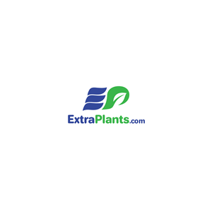 Logo Design by threztip