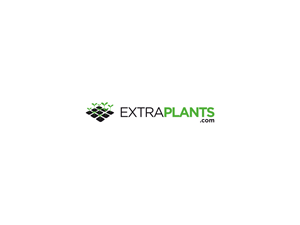 Design de Logo par Atvento Graphics pour ce projet | Design : #30854181