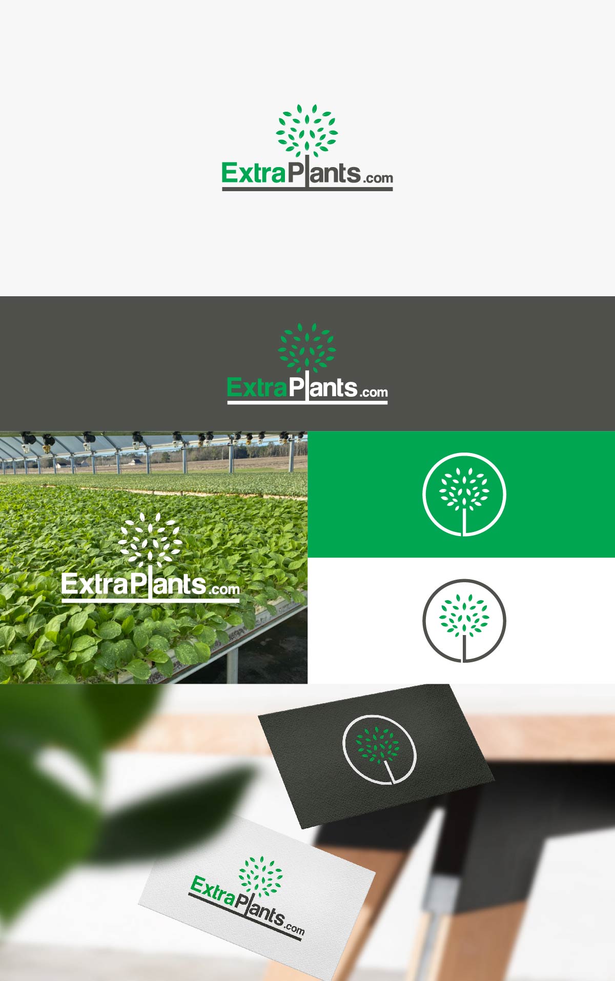 Logo Design by bestdesignzzz for this project | Design #30844828