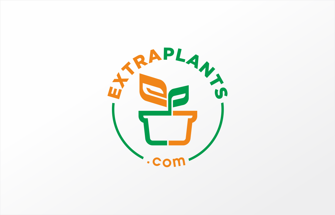 Logo Design by soulpro03 for this project | Design #30839890