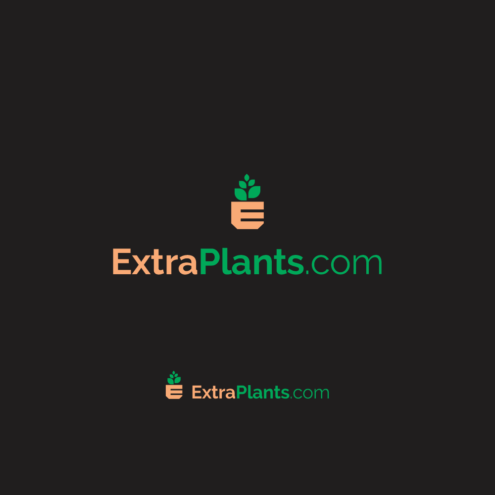 Logo Design by NATURAL SRI for this project | Design #30905649