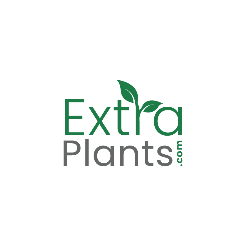 Logo Design by RAMDHONU for this project | Design #30849853
