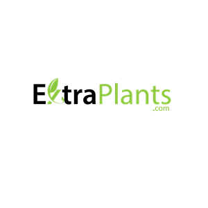 Logo Design by Ushan De Silva