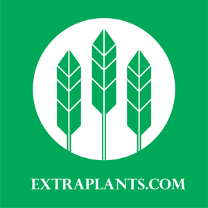 Logo Design by MK96
