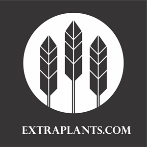 Logo Design by MK96 for this project | Design: #30870324