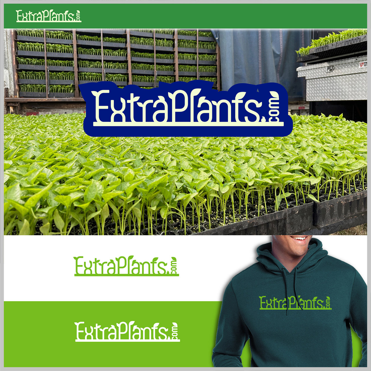 Design de Logo par Homgraf Taller Grafico pour ce projet | Design #30907155