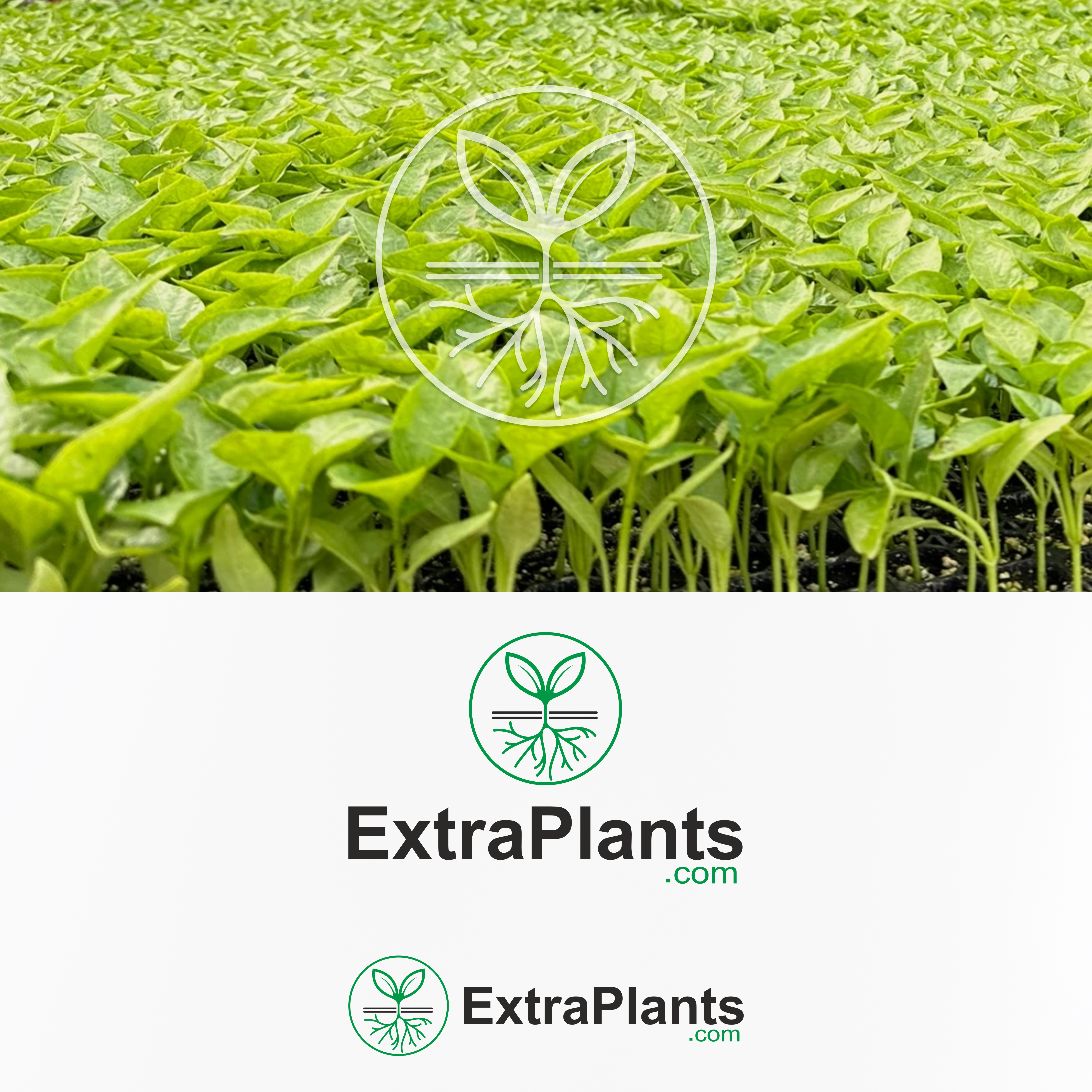 Logo Design by kasva1 for this project | Design #30866180