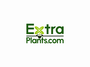 Logo Design by Ellon