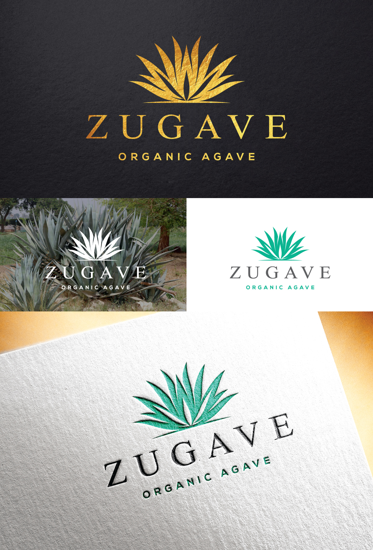 Logo Design by step forward 2 for this project | Design #30841545