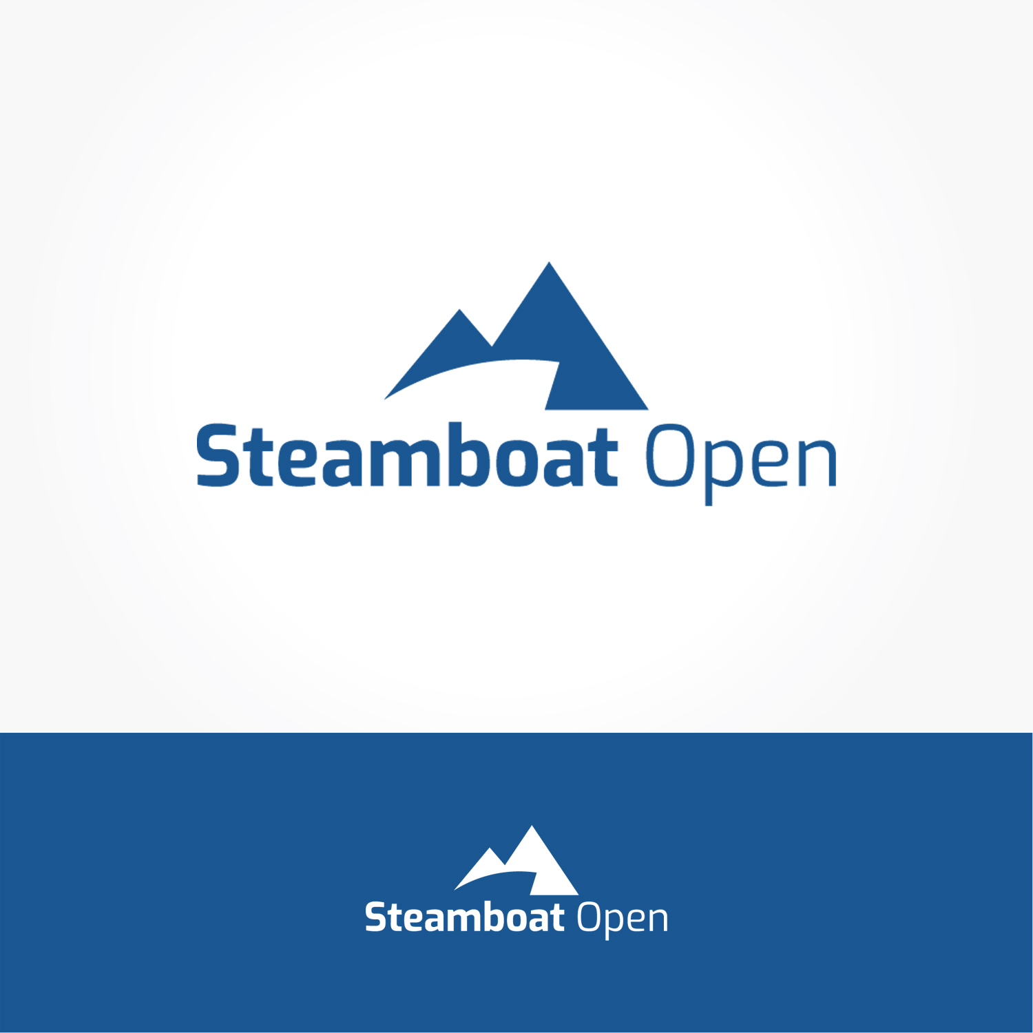 Logo Design by LogoGraphx for Twin Oak Advisors | Design #30885078