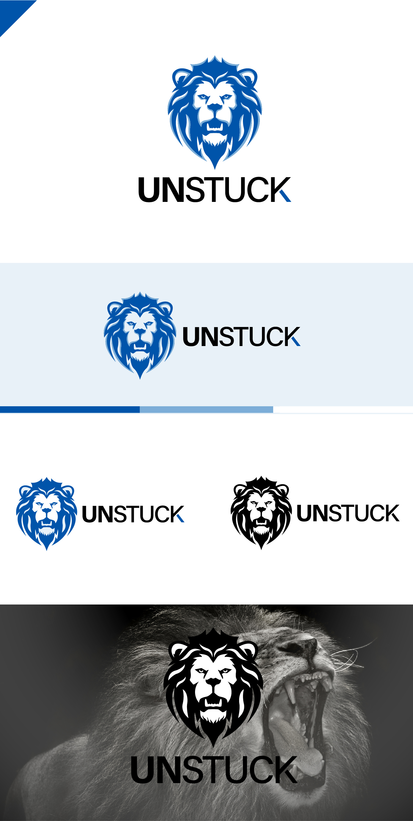 Diseño de Logo por VisionCraft para este proyecto | Diseño #30860146