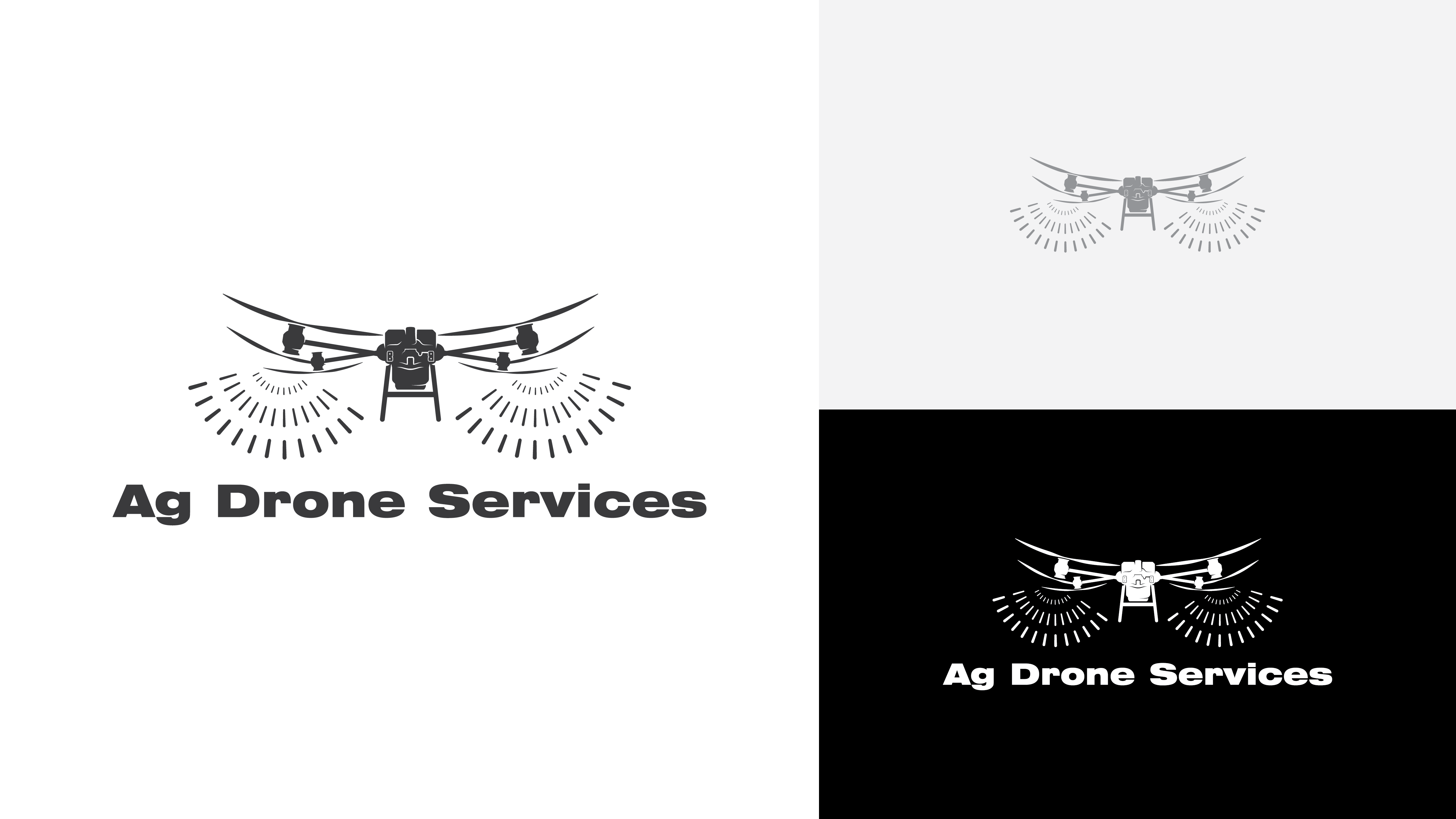 Design de Logo par Kryss Denmar pour ce projet | Design #30903750
