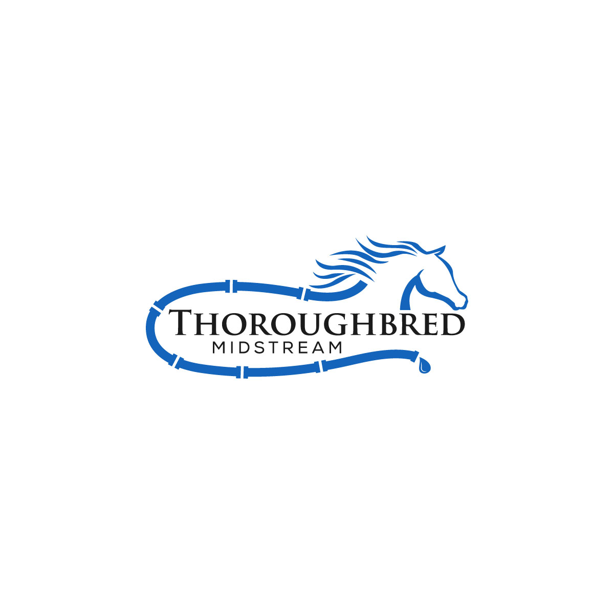 Logo Design by LAXMI DESIGNHUB for this project | Design #30862622