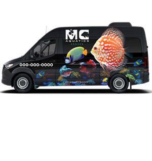 Car Wrap Design by design pres for MC Aquatics | Design #30909442