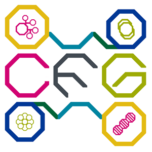 Logo Design by Binatom