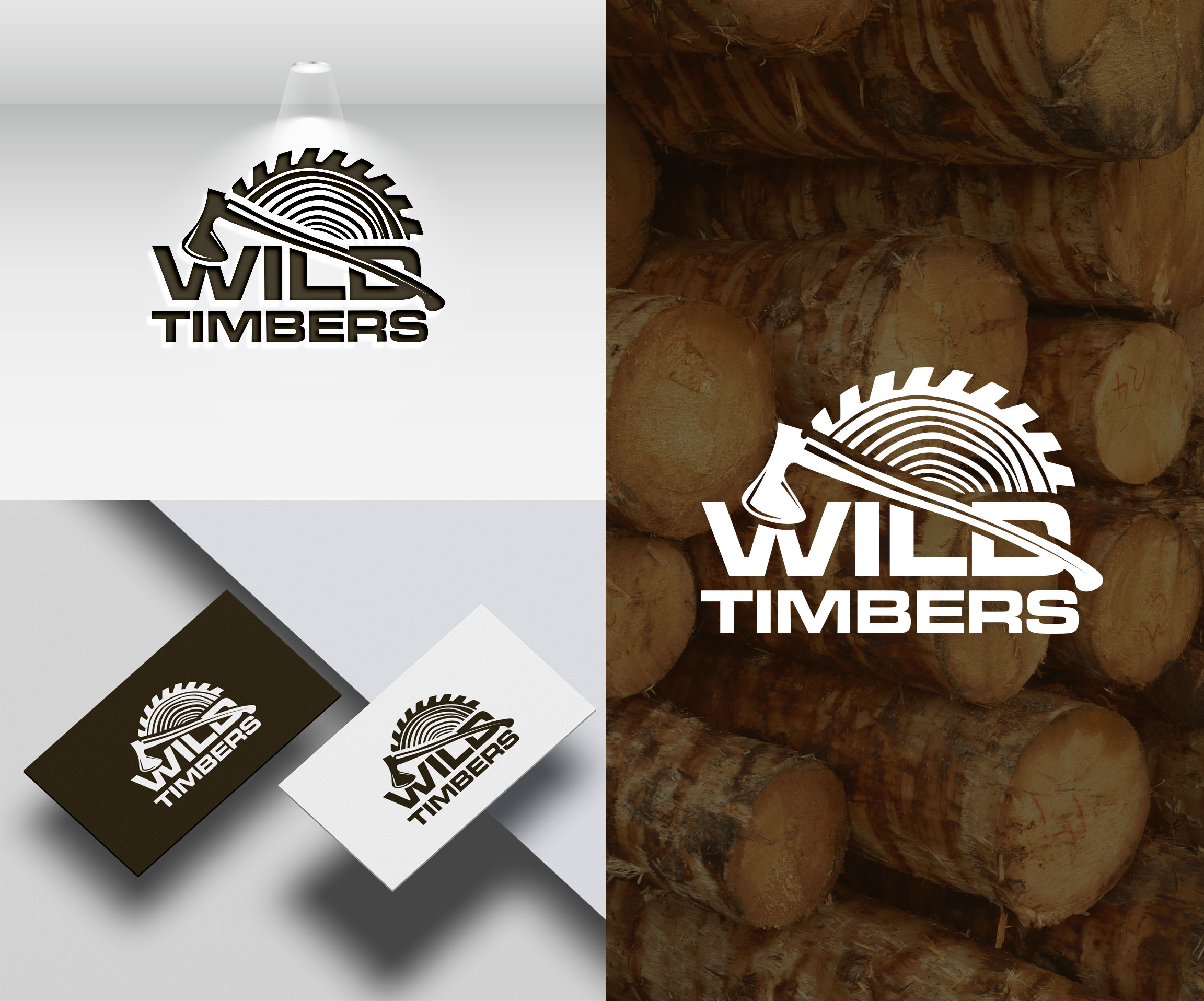 Logo Design by aexoagency for this project | Design #30874115