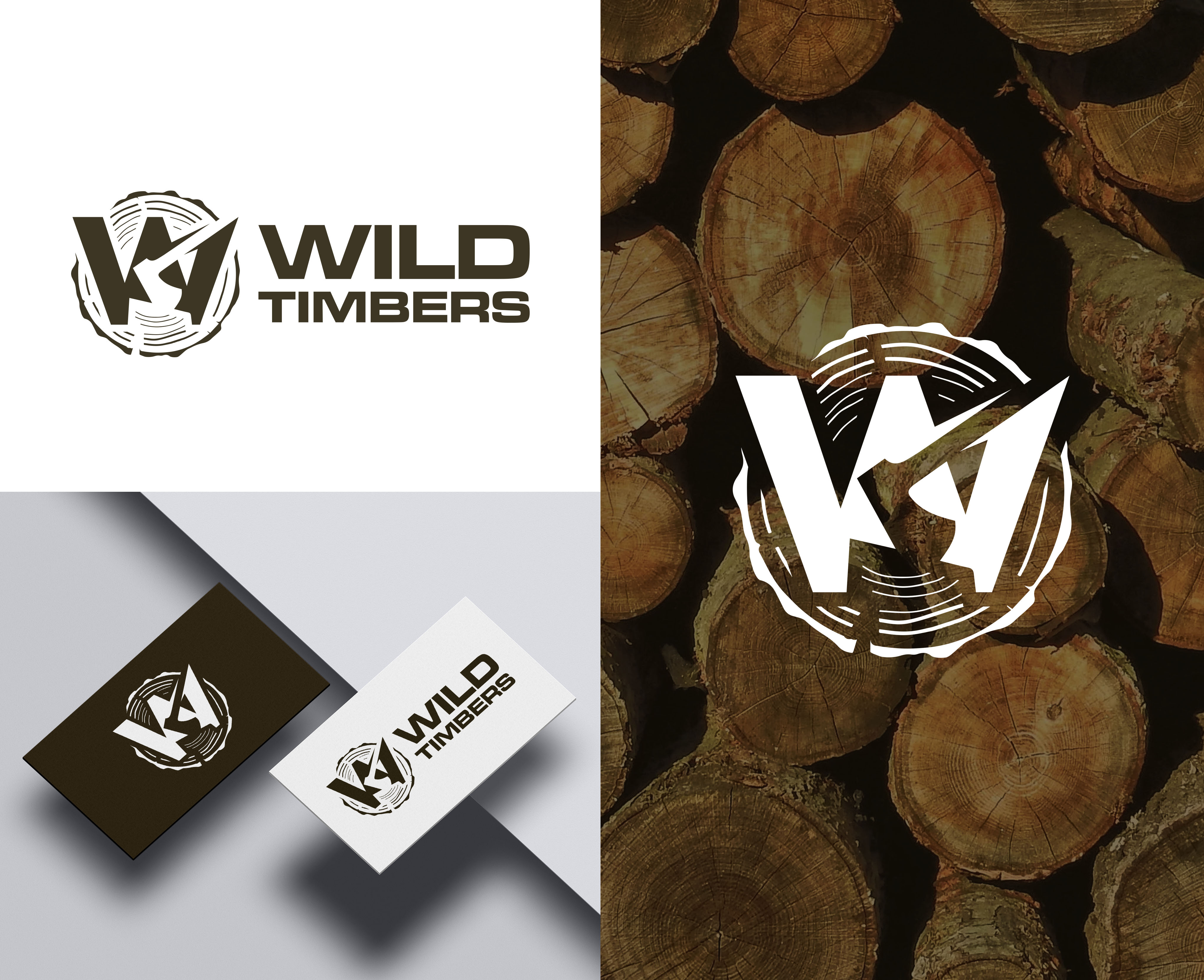 Logo Design by aexoagency for this project | Design #30874438