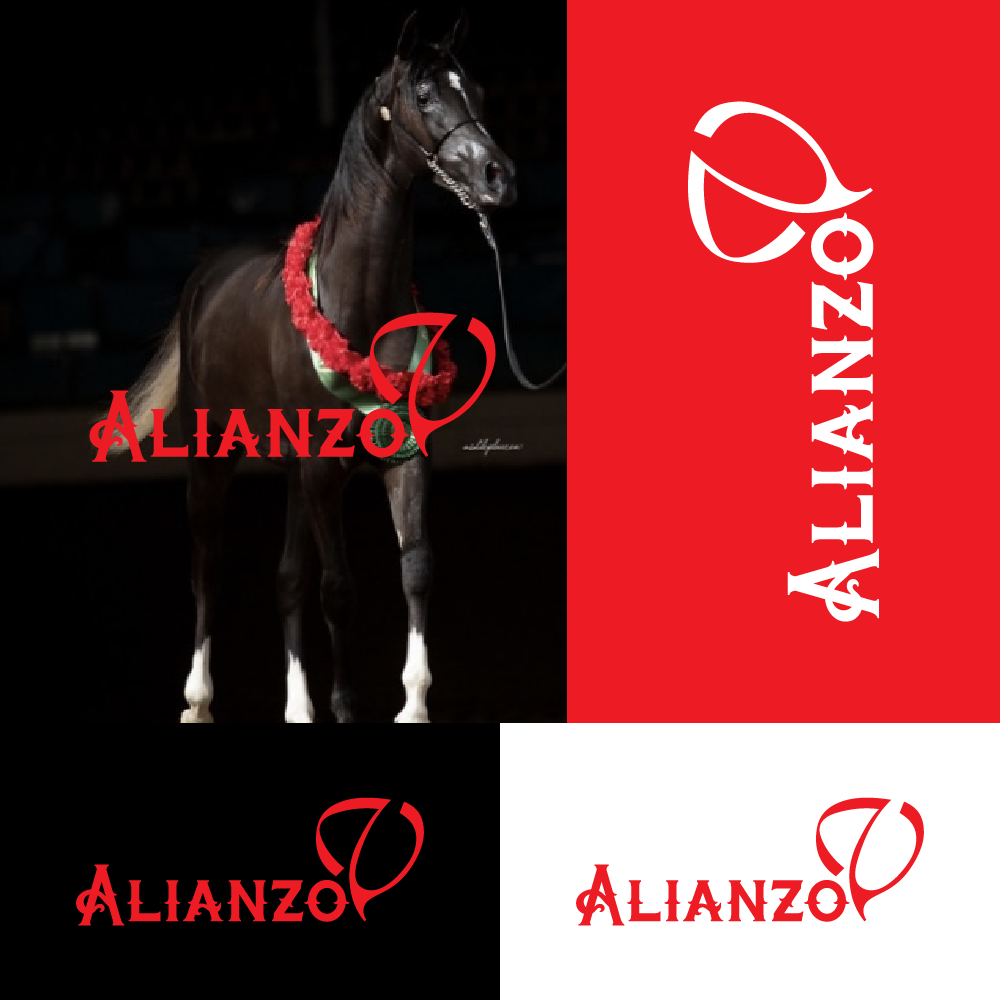 Diseño de Logo por design wae para este proyecto | Diseño #30880183