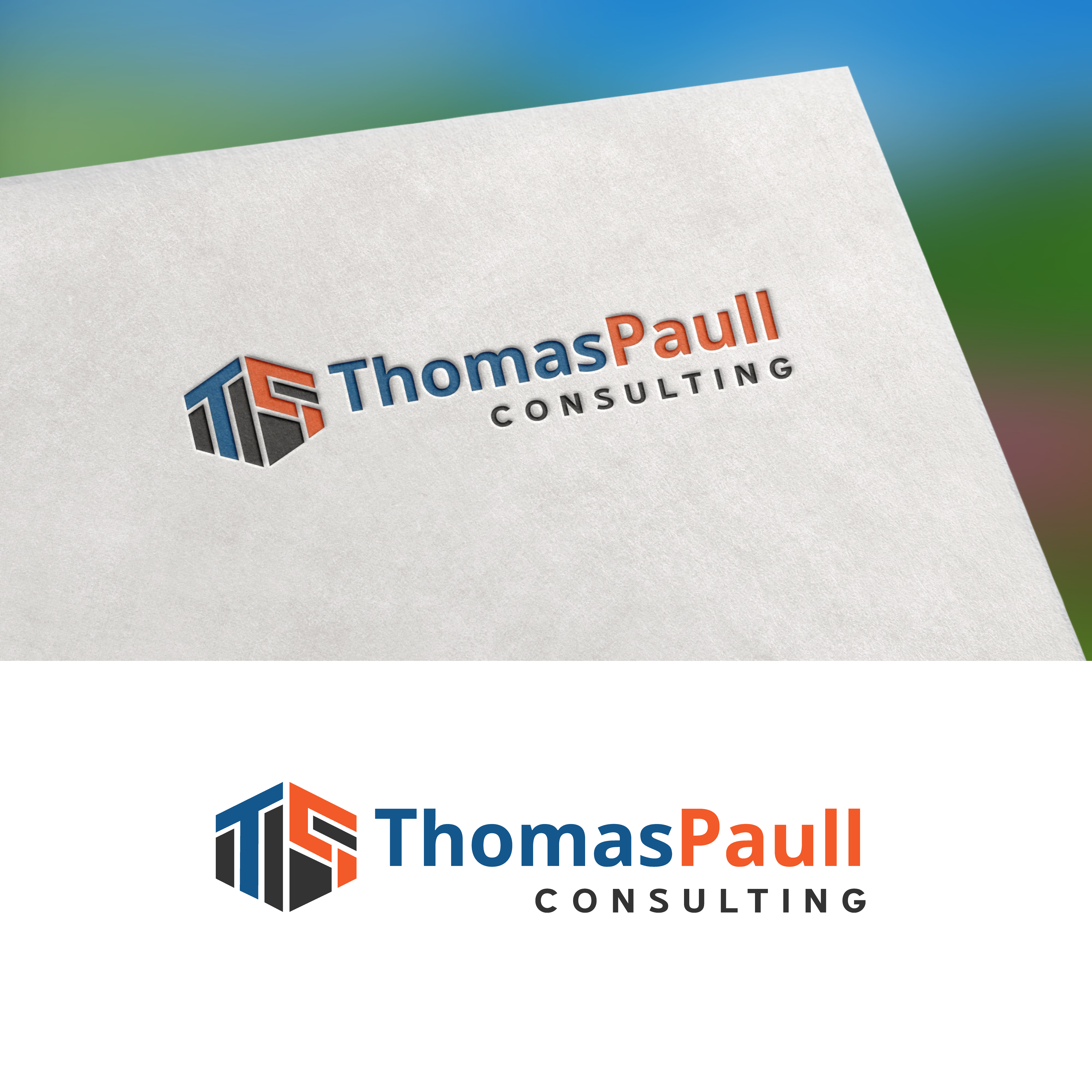 Logo Design by TripleAesthetic for this project | Design #31011018