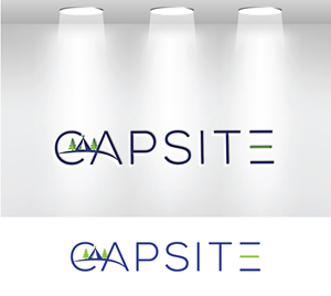 Logo Design by okimok for WSP | Design: #30896744