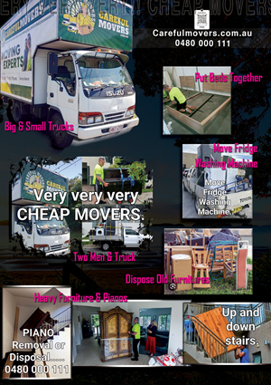 Flyer Design by Graphic pot for this project | Design: #30962824