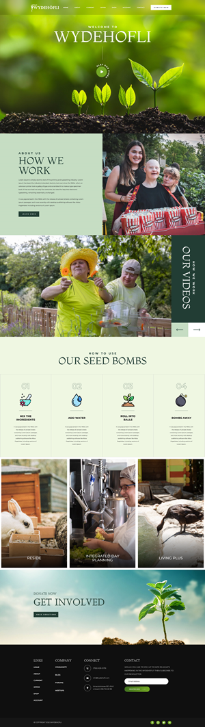 Diseño Web por Hafsa Fatymah para este proyecto | Diseño: #30903571