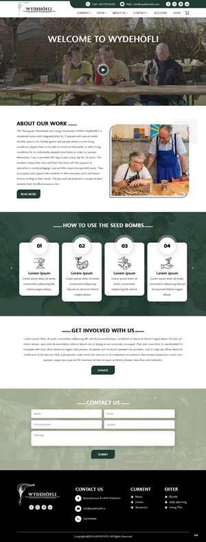 Diseño Web por pb para este proyecto | Diseño: #30905536