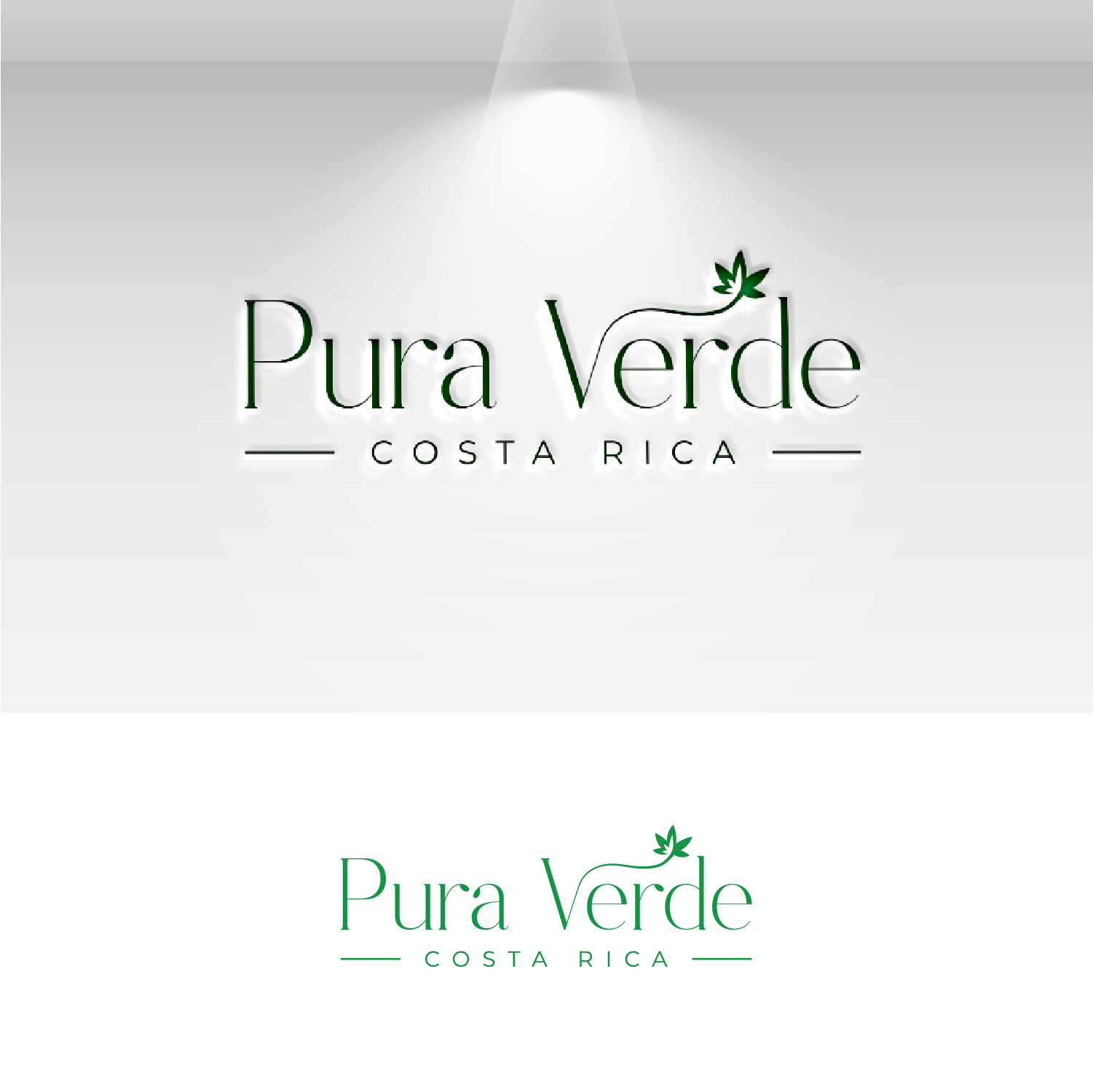 Logo-Design von S.H Designs für dieses Projekt | Design #30899760