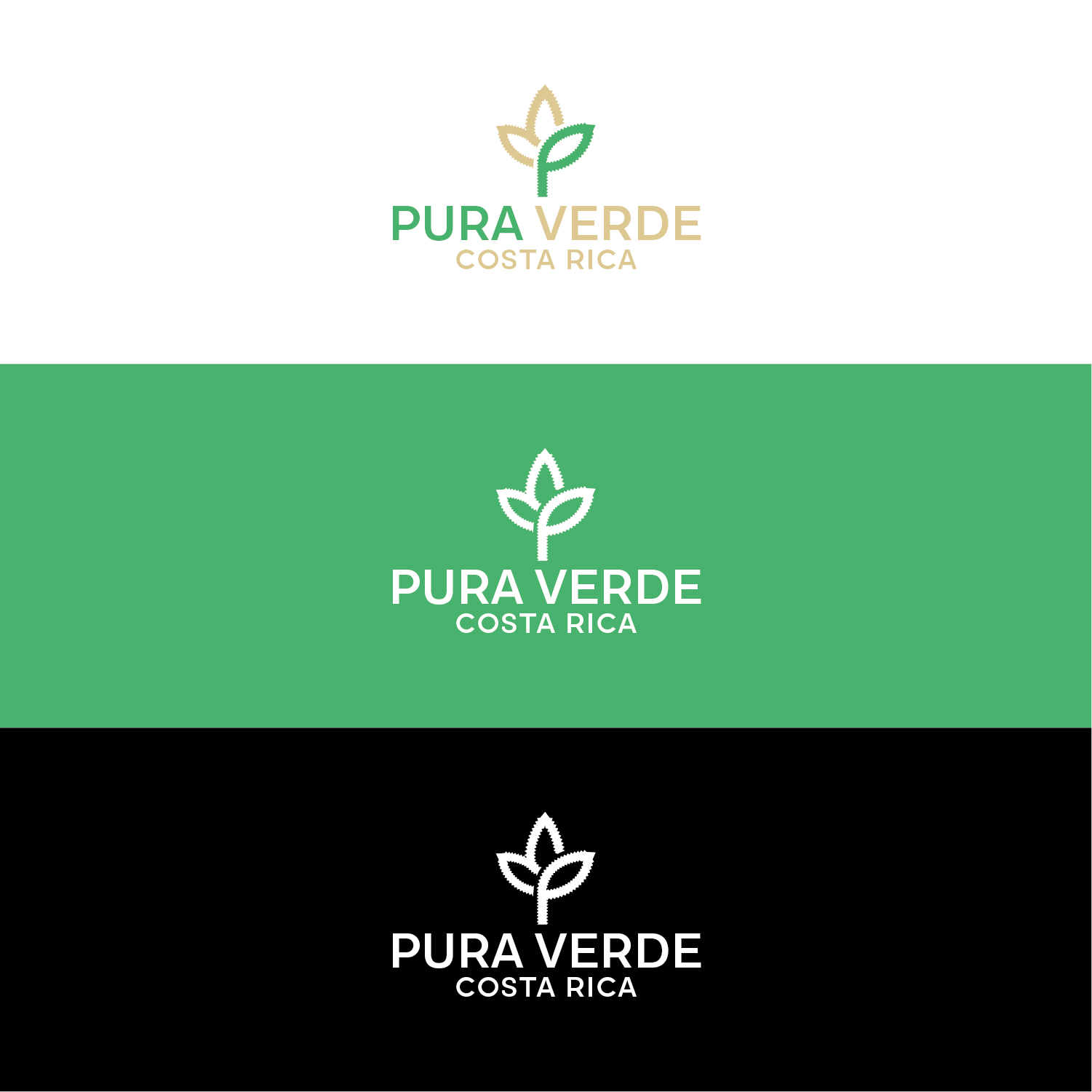 Logo Design by ARB Designs for this project | Design #30906345