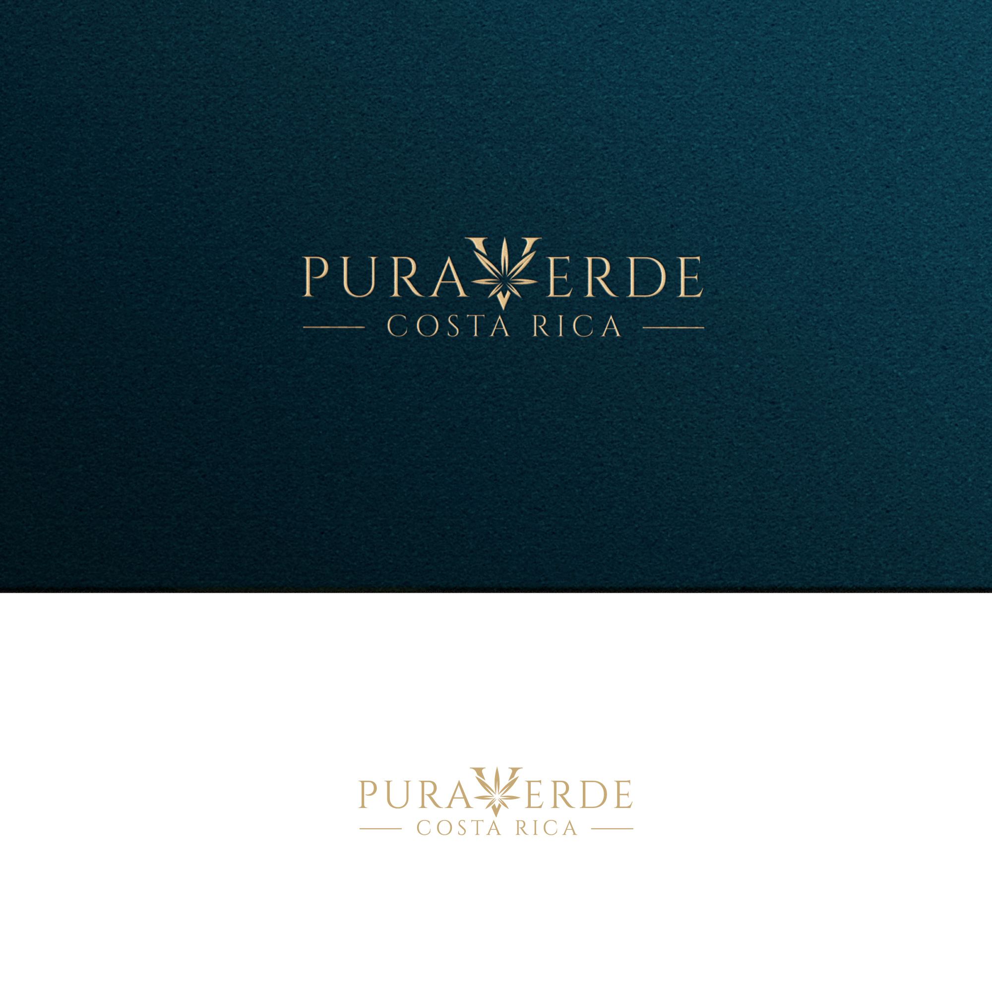 Logo Design by zeykan for this project | Design #30928903