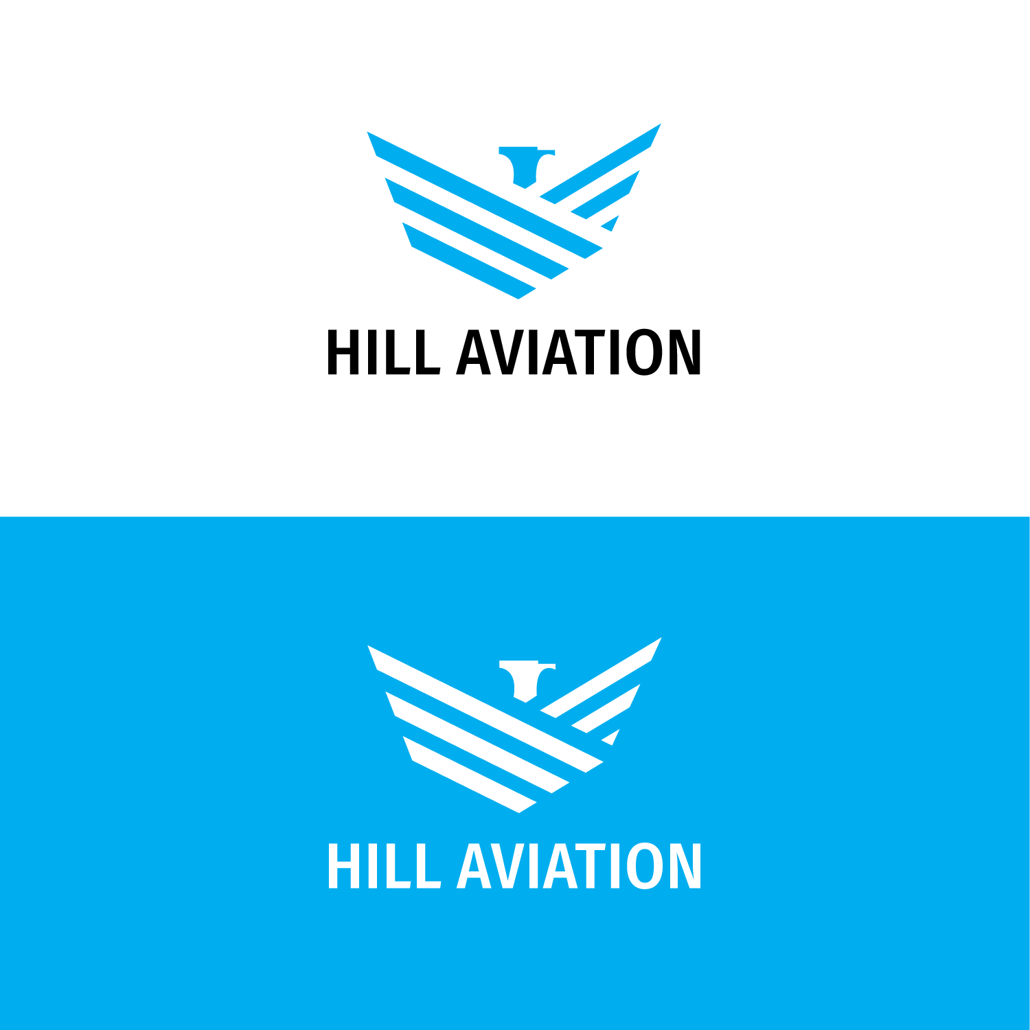 Diseño de Logo por Chaudhary Graphics para Hill Aircraft | Diseño #30905623