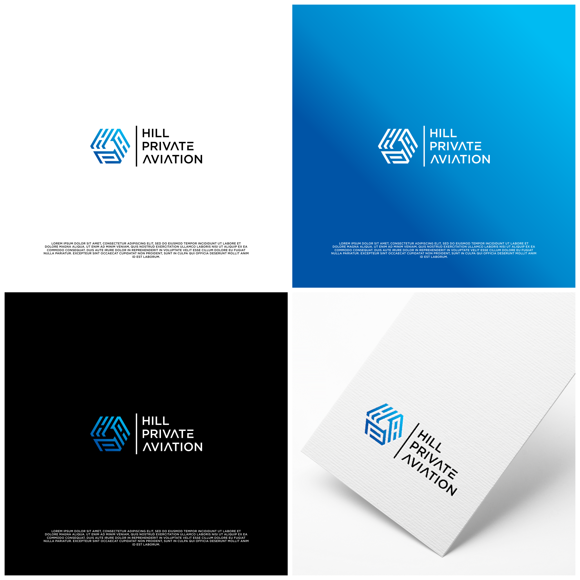 Logo Design by B.O_STUDIO for Hill Aircraft | Design #30967181