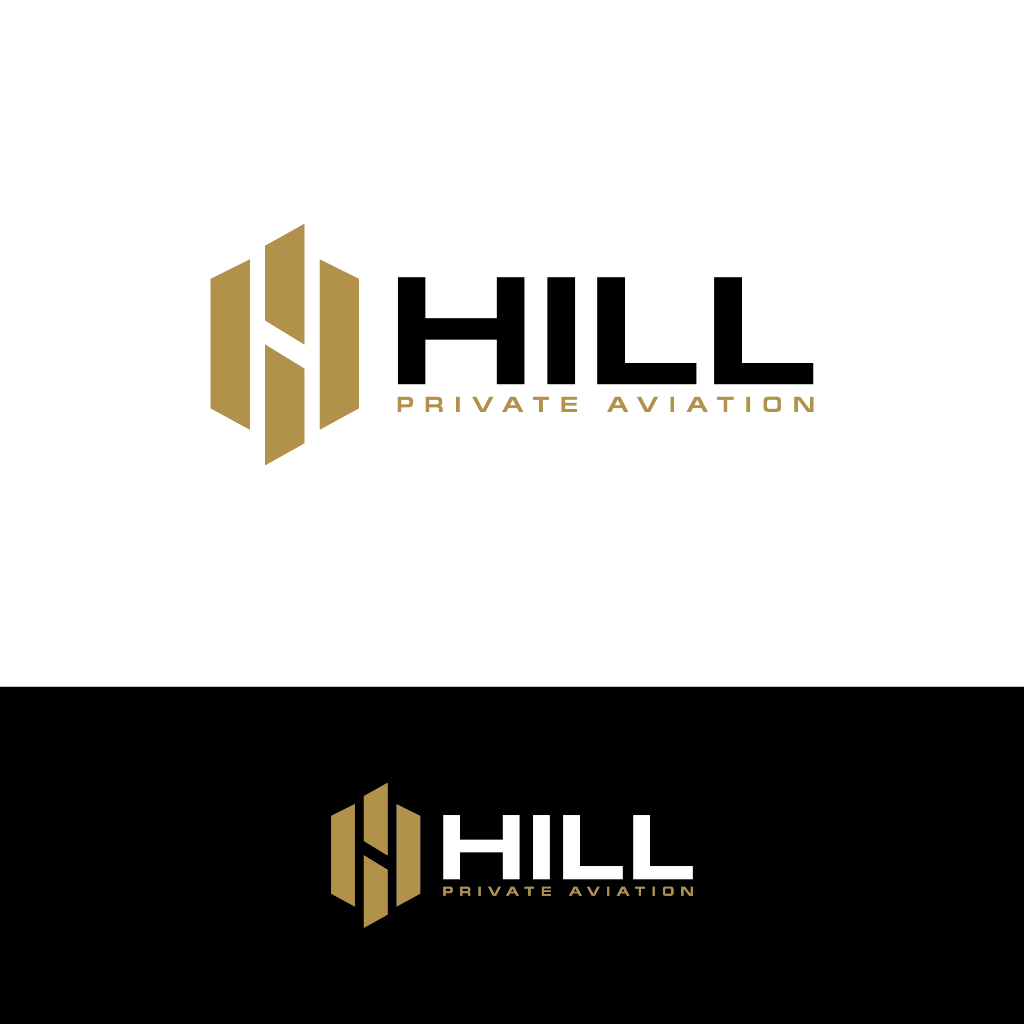 Logo Design by @fatim_designs for Hill Aircraft | Design #30974009