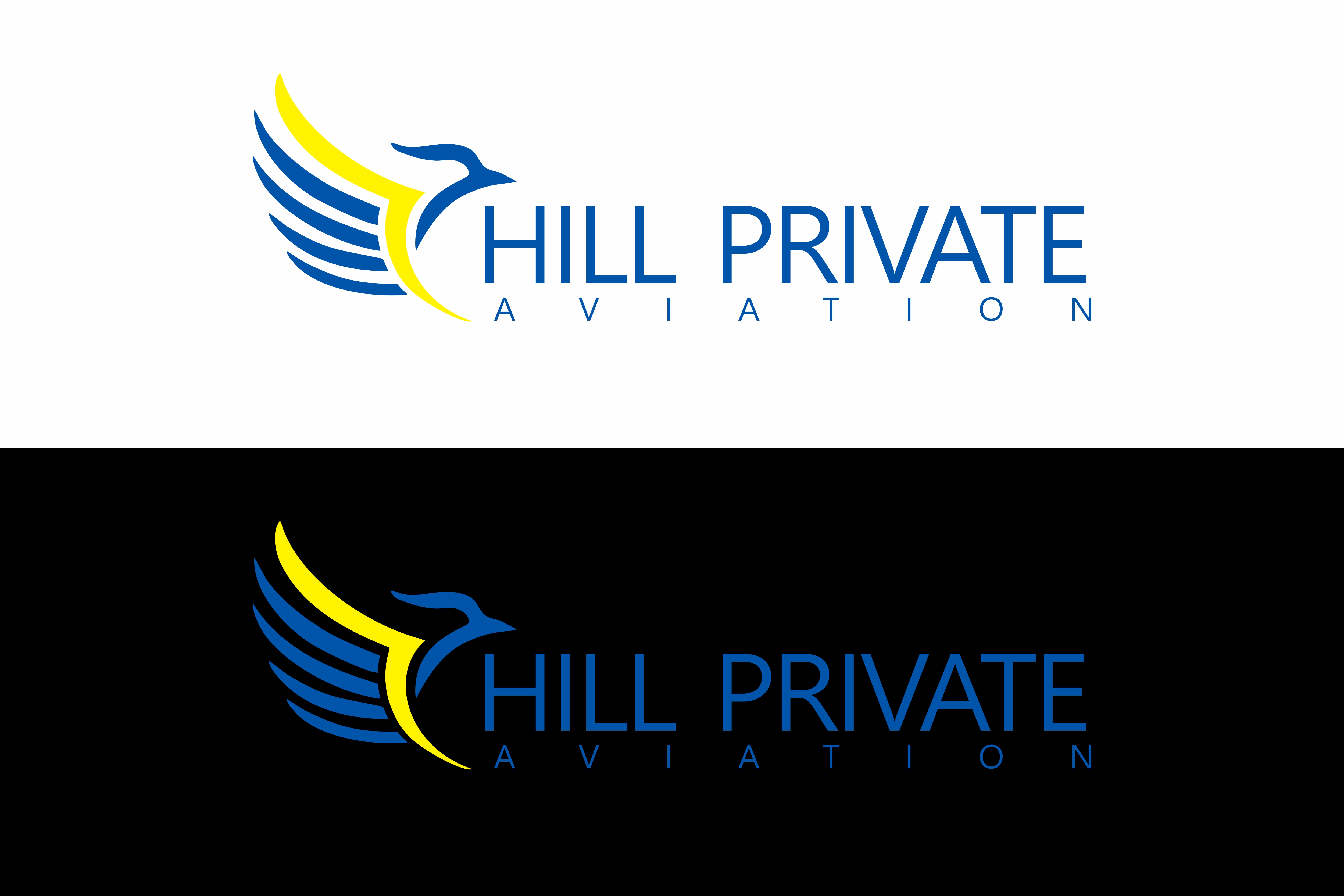 Logo Design by Basir "Amini" for Hill Aircraft | Design #30959259